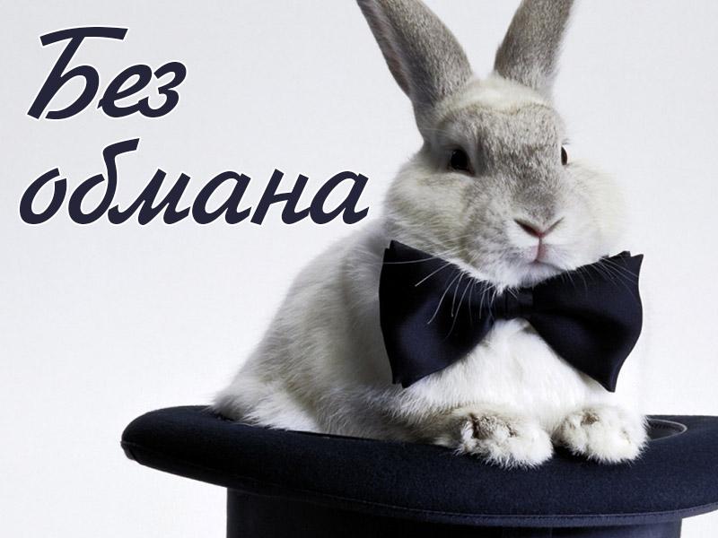 Без обмана (bez-obmana) Досуг, хобби
