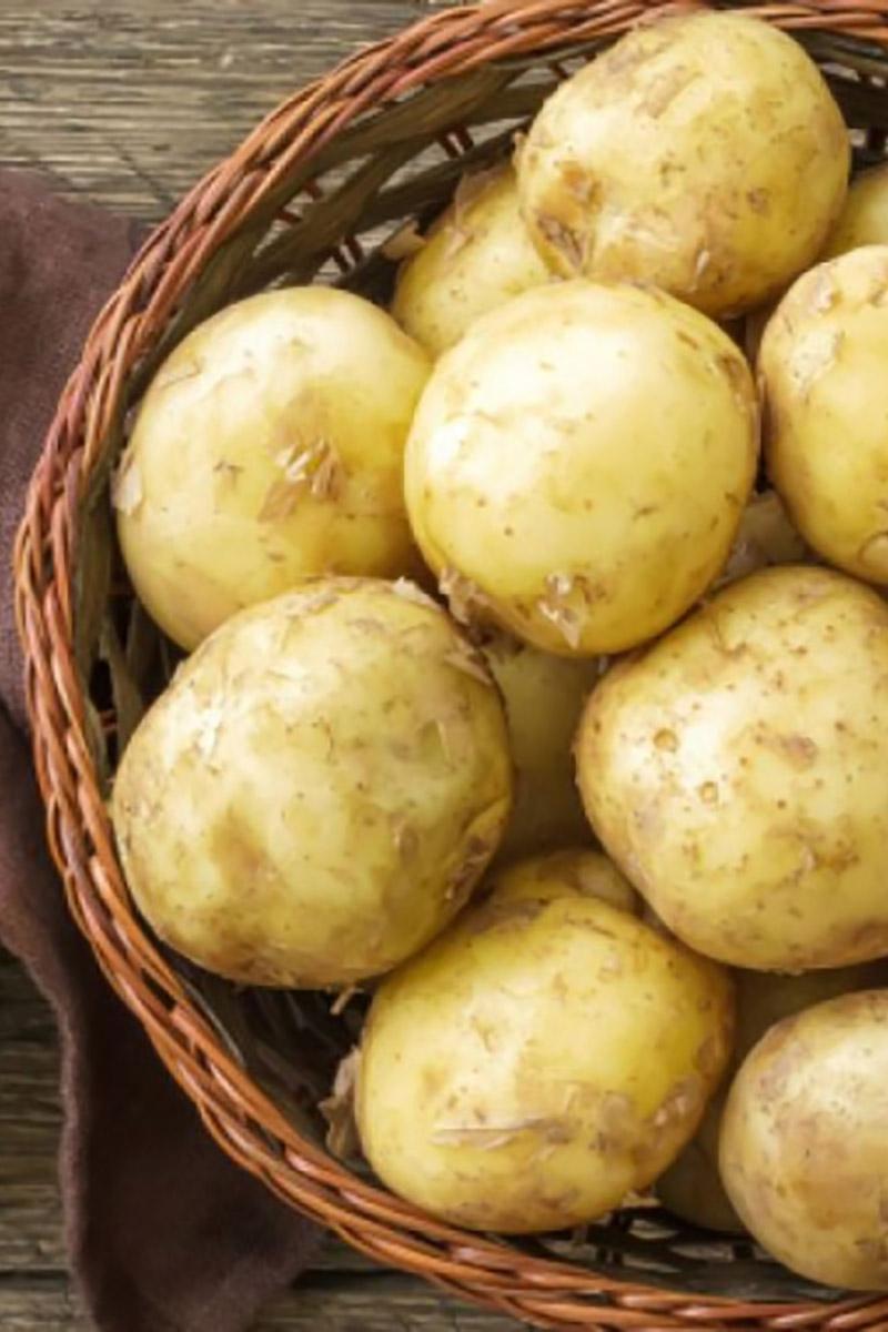 Условия хранения семенного картофеля (uslovija-hranenija-semennogo-kartofelja) Познавательное