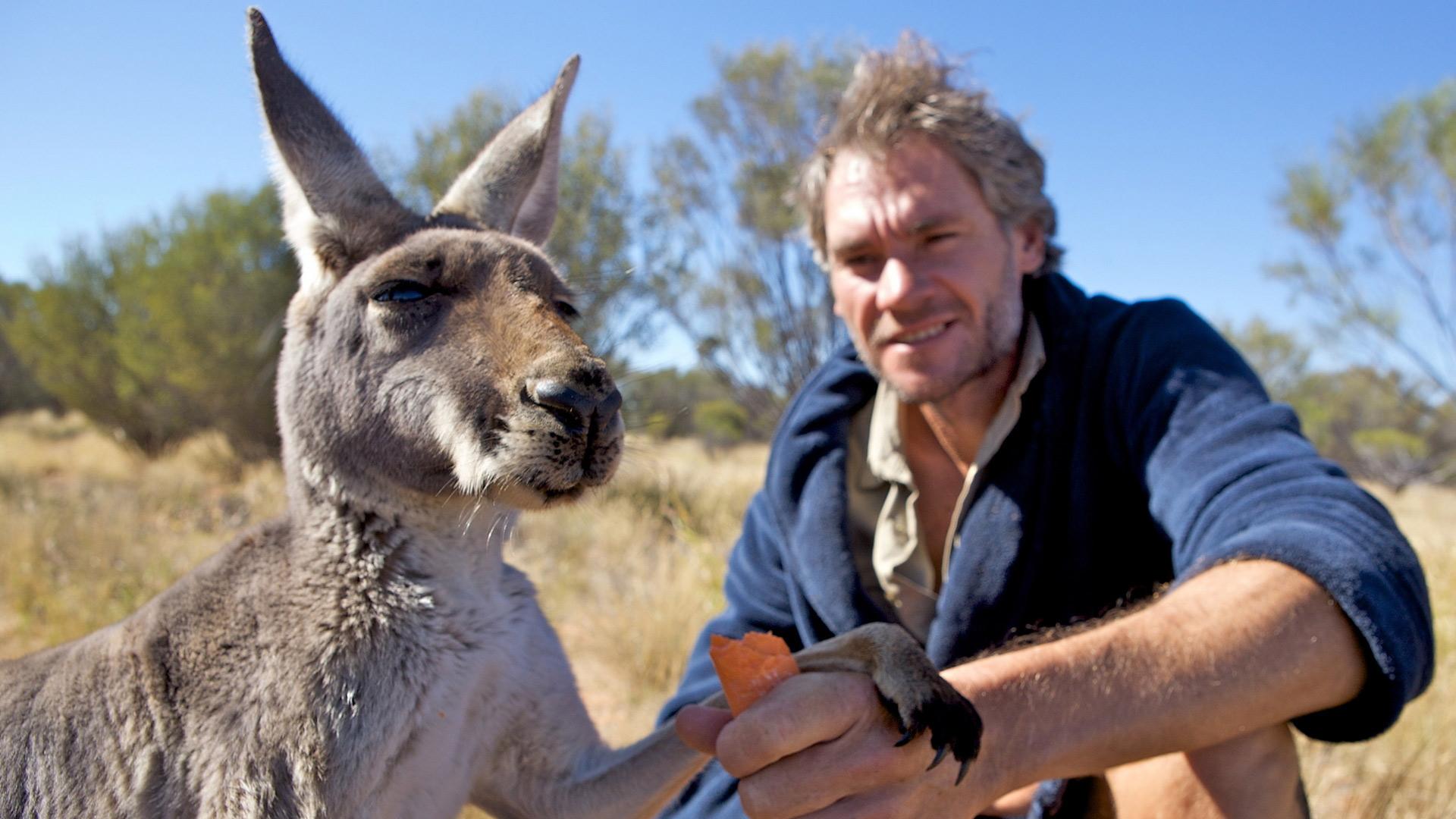 Данди по прозвищу Кенгуру (dandi-po-prozvischu-kenguru) Документальный сериал