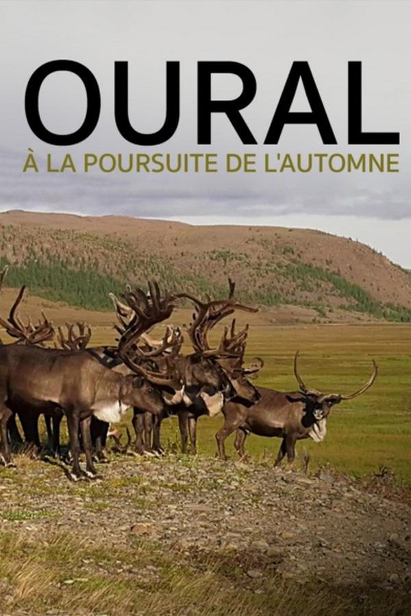 Oural, à la poursuite de l'automne (oural-la-poursuite-de-lautomne) Документальный фильм