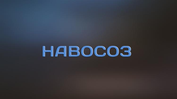 Постер Навосоз