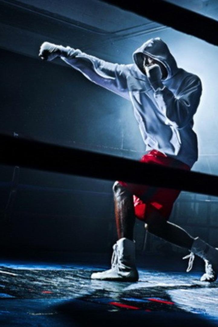 PRIDE FC. Емельяненко, Лидделл, Харитонов, Вовчанчин, Ногейра и другие (pride-fc-emeljanenko-liddell-haritonov-vovchanchin-nogejra-i-drugie) Досуг, хобби