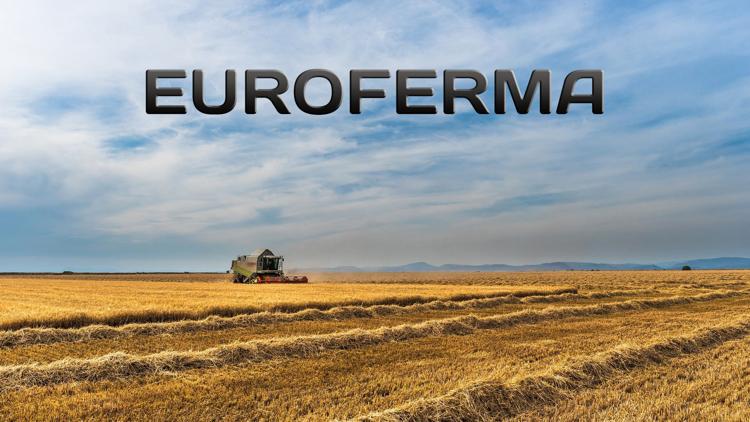 Постер Euroferma