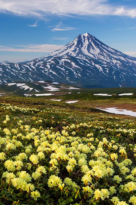 Природа Камчатки (priroda-kamchatki) Документальный фильм