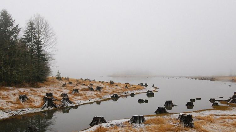 Постер The Forbidden River