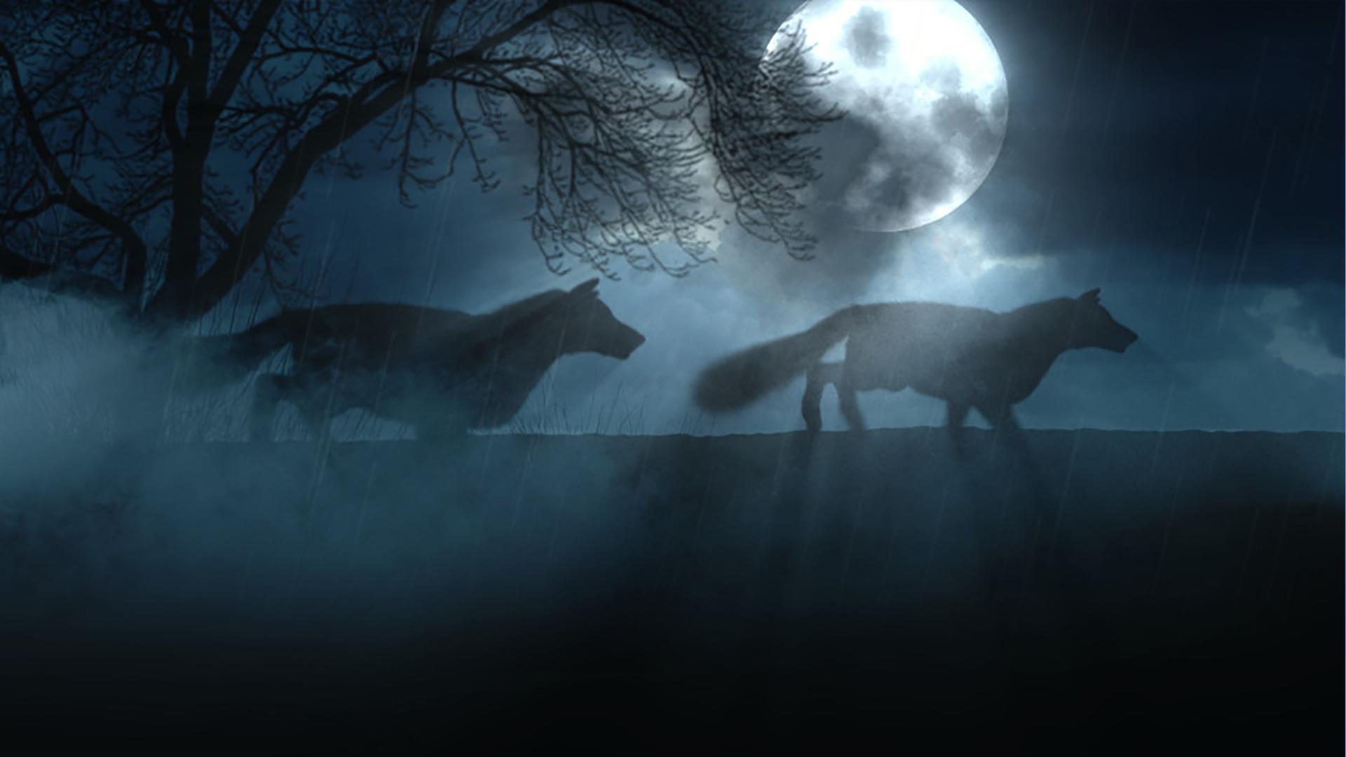 Когда сталкиваются континенты (kogda-stalkivajutsja-kontinenty) Документальный фильм