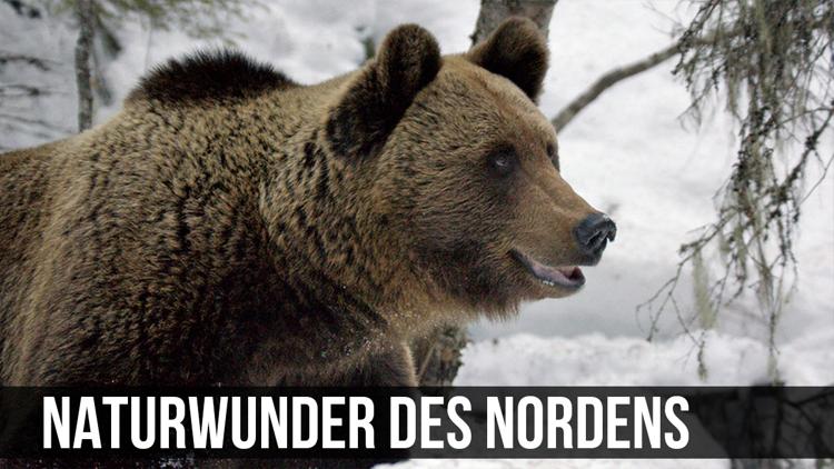 Постер Naturwunder des Nordens