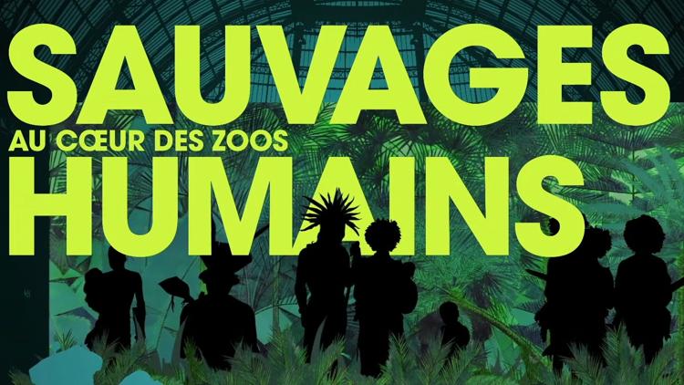 Постер Sauvages, au coeur des zoos humains