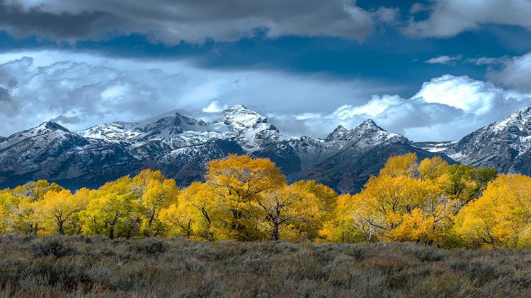 Постер Wild Yellowstone: Land of Extremes