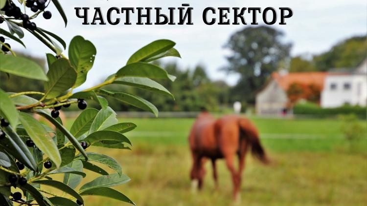 Постер Чacтный cектор