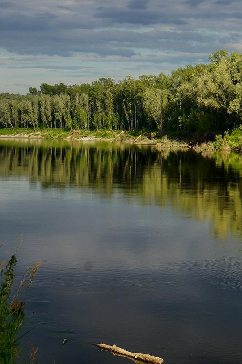 Река Чумыш (reka-chumysh) Досуг, хобби