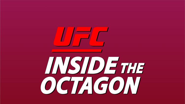 Постер Inside the octagon