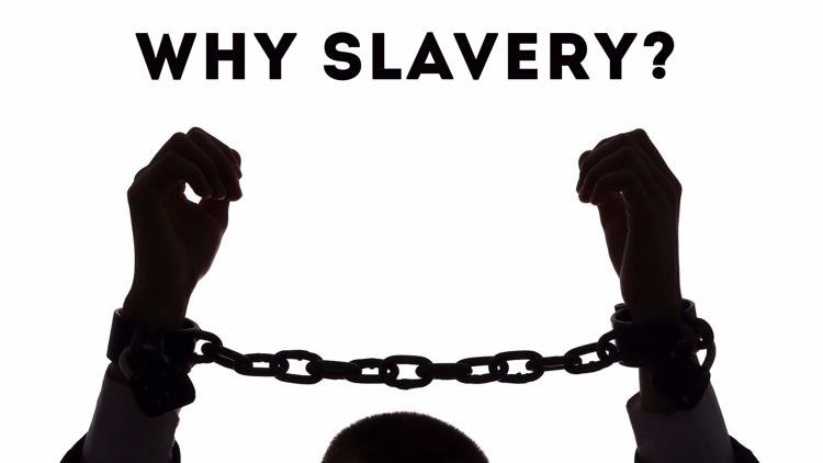 Постер Why Slavery?