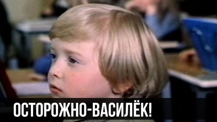 Постер Осторожно-Василёк!