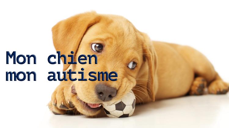 Постер Mon chien mon autisme