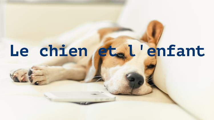 Постер Le chien et l'enfant