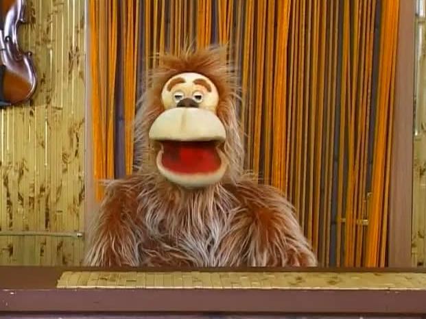 Занзи в большом городе (zanzi-v-bolshom-gorode) Досуг, хобби