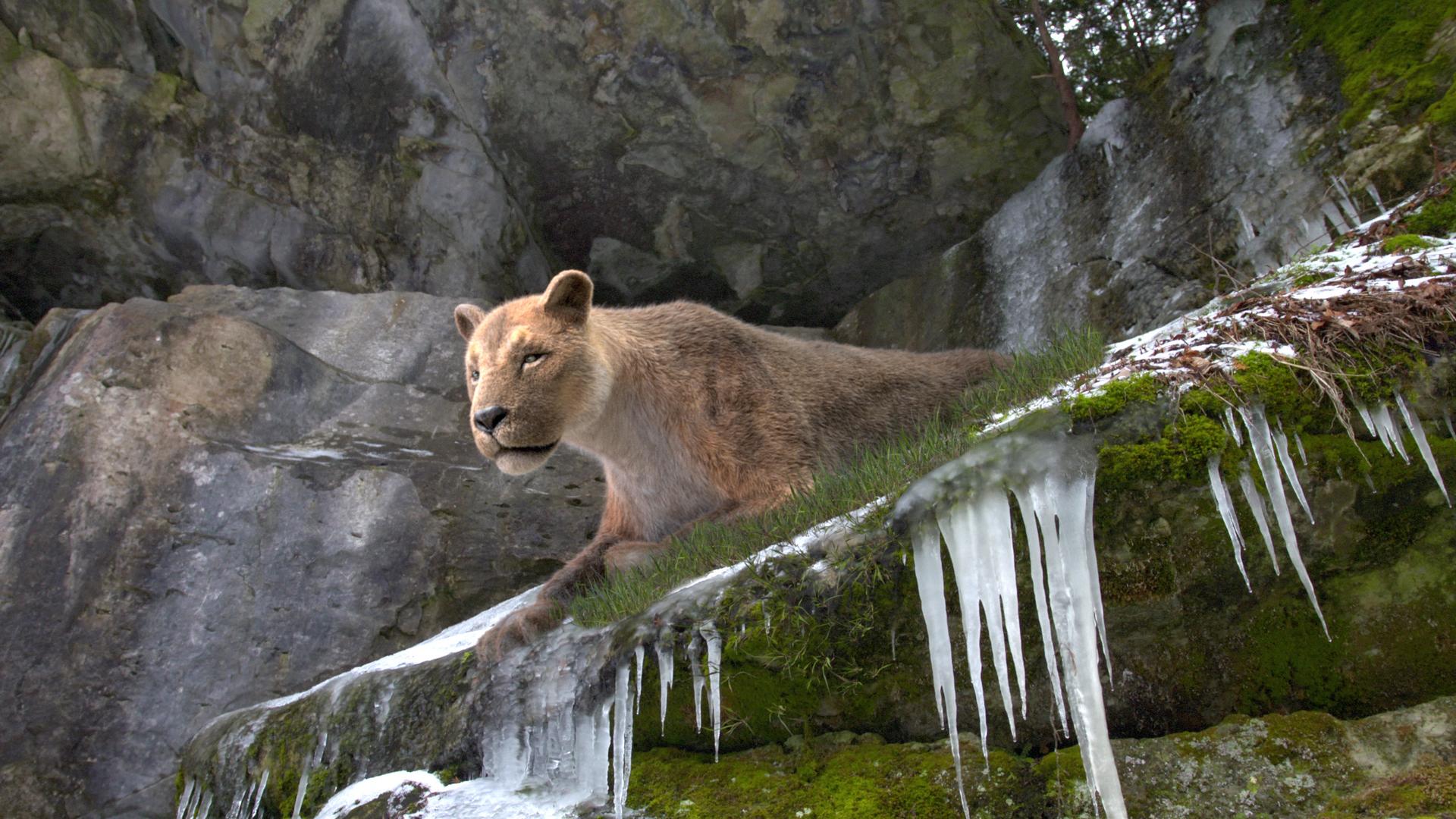 Ледовый мост (ledovyj-most) Документальный фильм