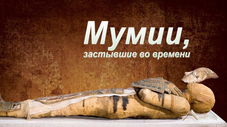 Постер Мумии, застывшие во времени