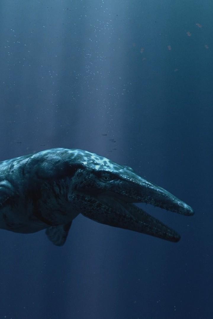 Морские динозавры (morskie-dinozavry) Документальный сериал