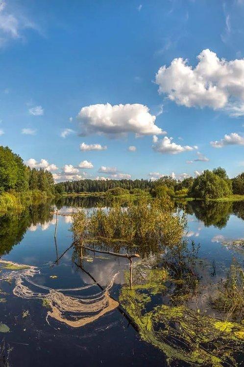 Ленинградская область (leningradskaja-oblast) Познавательное
