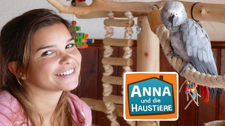 Постер Anna und die Haustiere