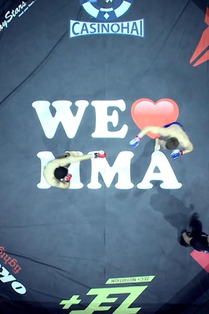 We Love MMA 41 (we-love-mma-41) Досуг, хобби