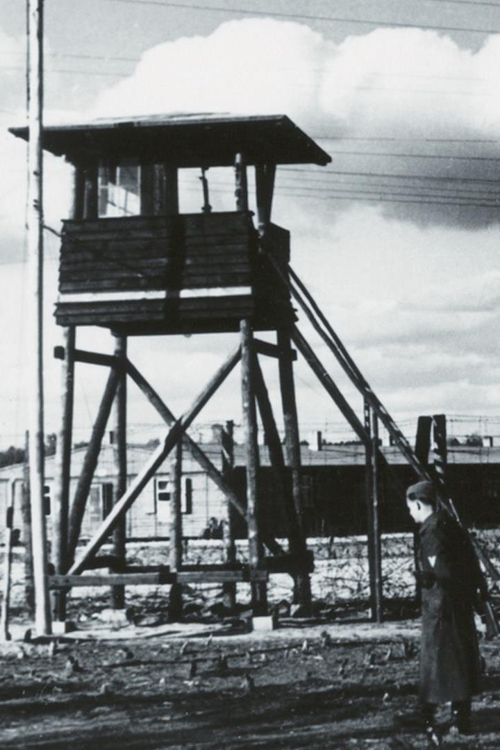 В руках нацистской Европы (v-rukah-natsistskoj-evropy) Документальный фильм
