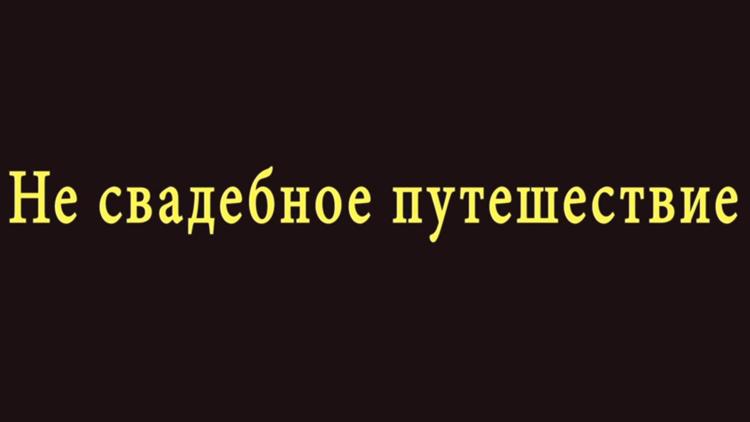 Постер Не свадебное путешествие