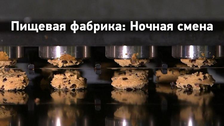 Постер Пищевая фабрика: Ночная смена