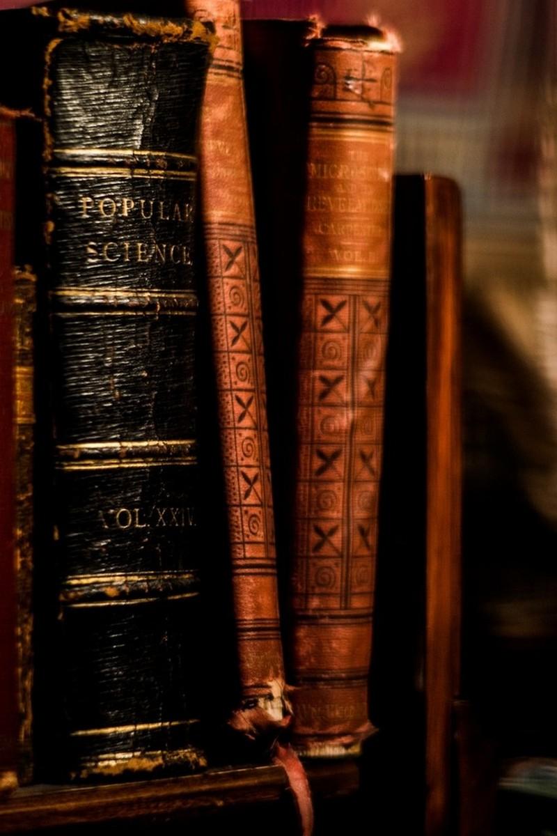 Комизм и смех в русской литературе. История и современность (komizm-i-smeh-v-russkoj-literature-istorija-i-sovremennost) Познавательное