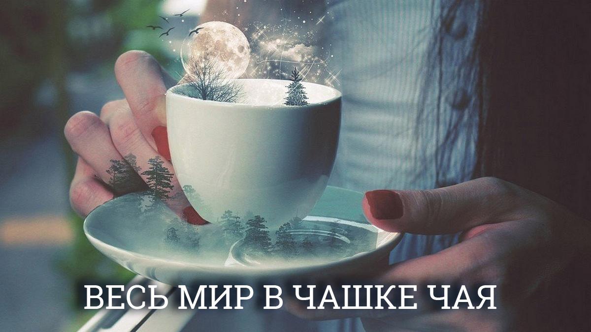 Весь мир в чашке чая (ves-mir-v-chashke-chaja) Документальный фильм