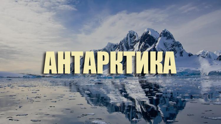 Постер Антарктика