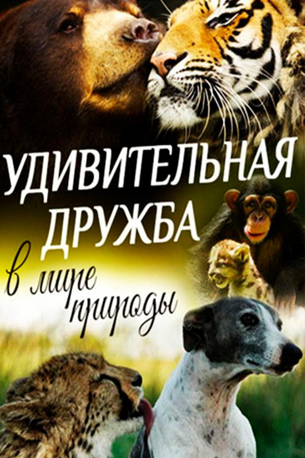 Удивительная дружба в мире природы (udivitelnaja-druzhba-v-mire-prirody) Документальный сериал