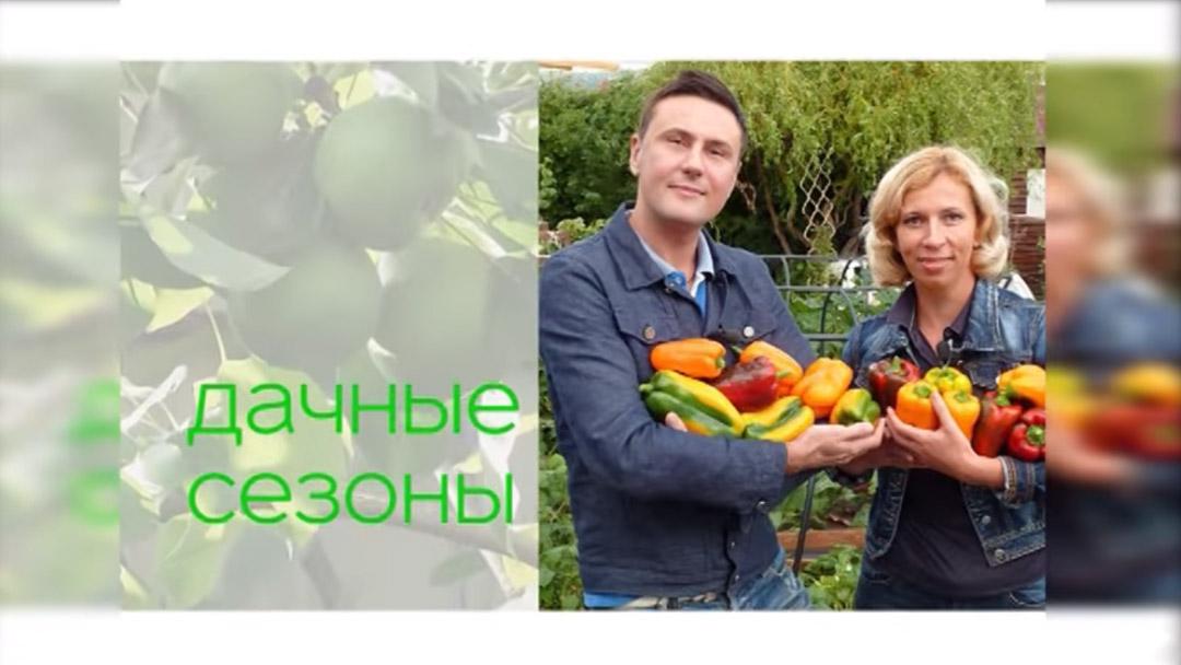 Дачные сезоны (dachnye-sezony) ТВ-шоу