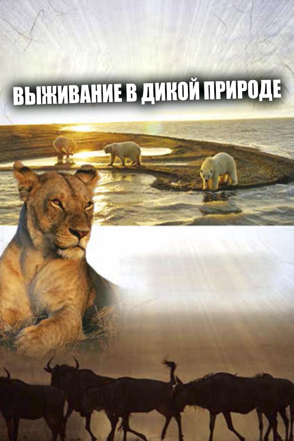 Выживание в дикой природе (vyzhivanie-v-dikoj-prirode) Документальный сериал