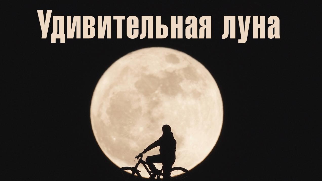 Удивительная луна (udivitelnaja-luna) Документальный фильм