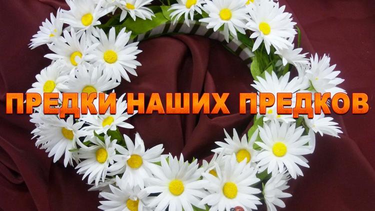 Постер Предки наших предков