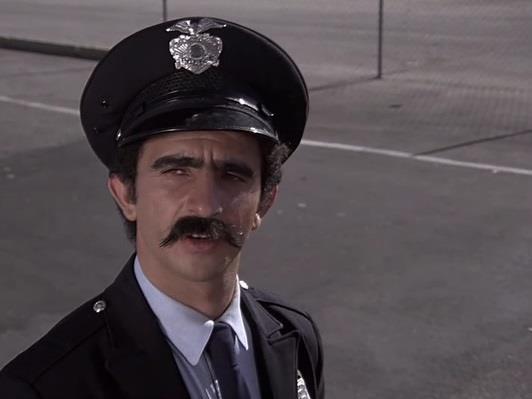 Бродяга-миллиардер (brodjaga-milliarder) Фильм 1977