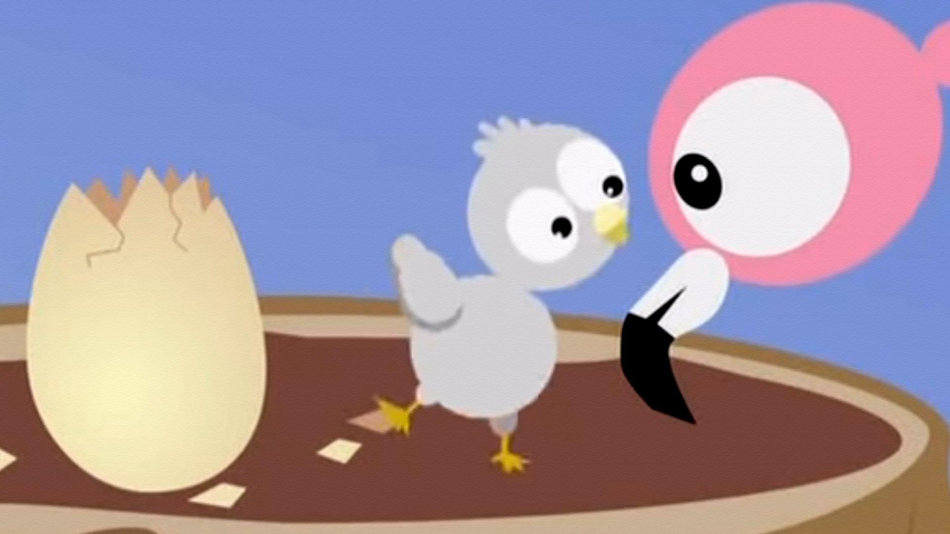 Фламинго (flamingo) Мультфильм