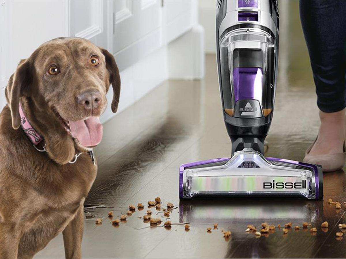 The New Bissell CrossWave Pet Pro (the-new-bissell-crosswave-pet-pro) Телемагазин