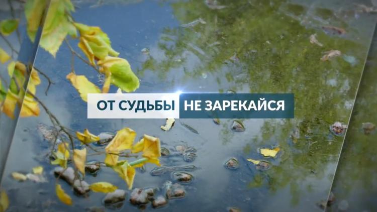 Постер От судьбы не зарекайся