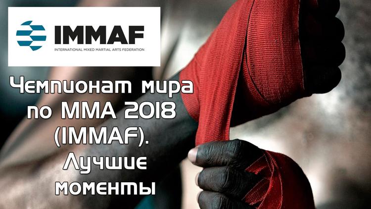 Постер Чемпионат мира по MMA 2018 (IMMAF). Лучшие моменты