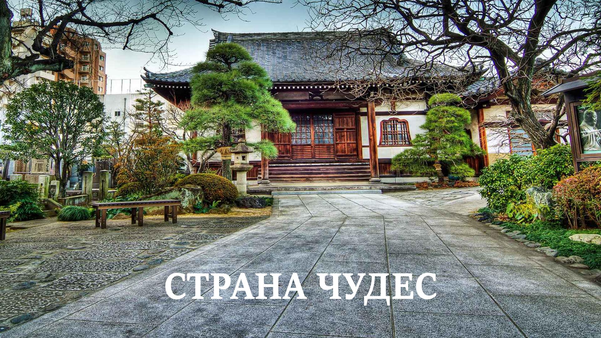 Страна чудес (strana-chudes) Познавательное