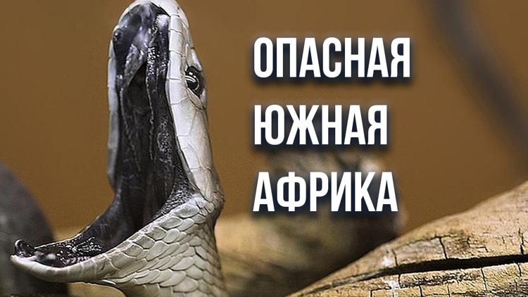 Постер Опасная Южная Африка