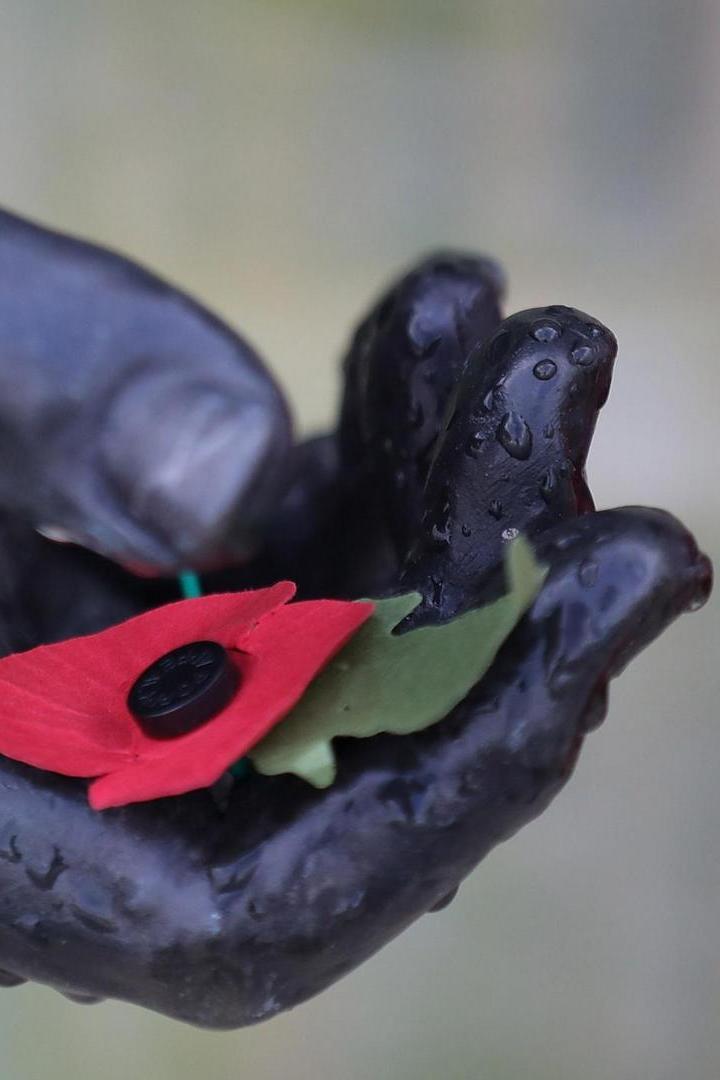 WW1 Centenary: Remembering the Armistice (ww1-centenary-remembering-the-armistice) Познавательное