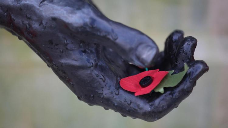 Постер WW1 Centenary: Remembering the Armistice