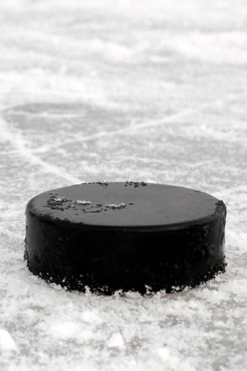 КХЛ. Венские сезоны (khl-venskie-sezony) Познавательное