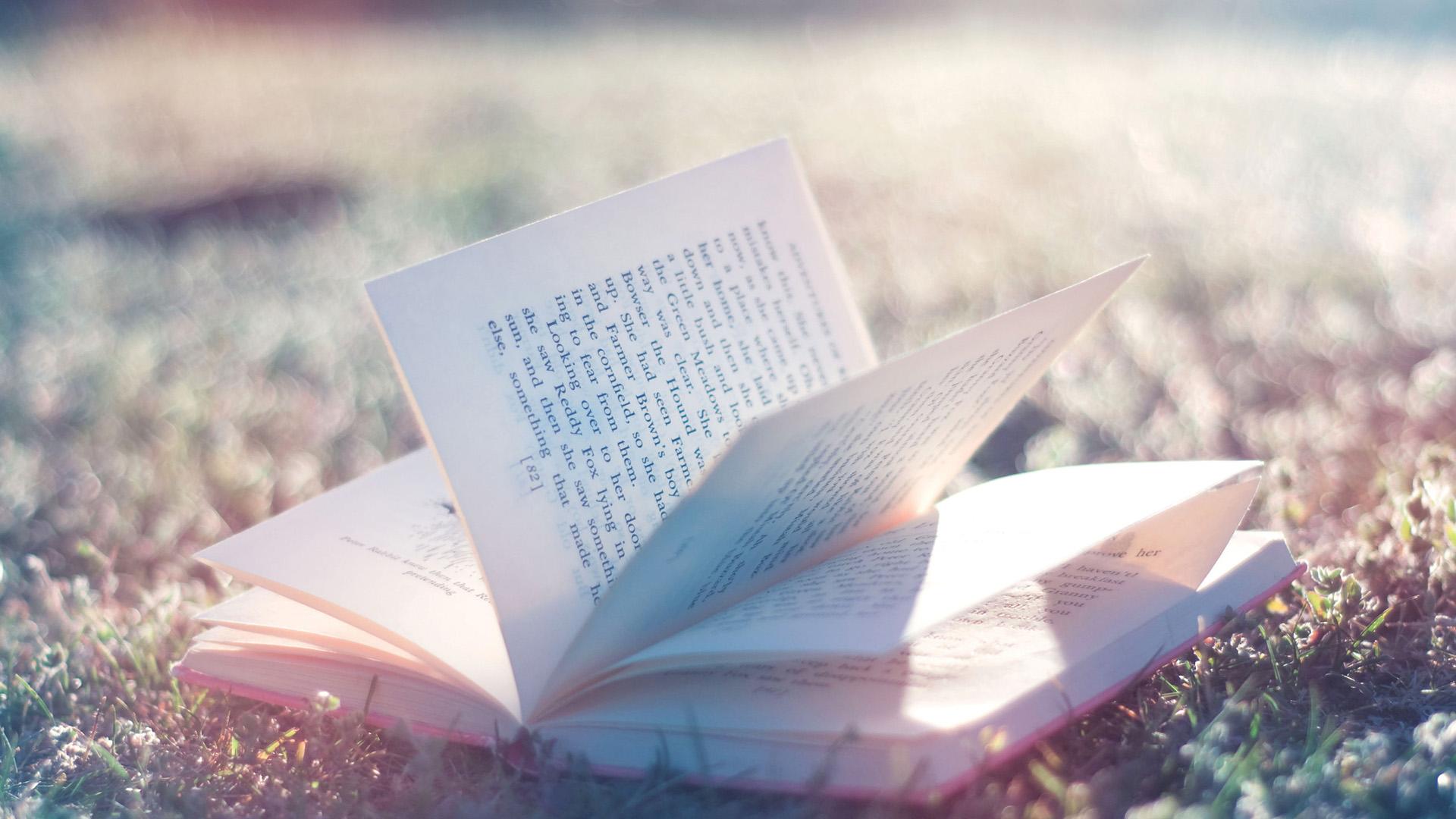О чём расскажет книга? (o-chem-rasskazhet-kniga) Досуг, хобби
