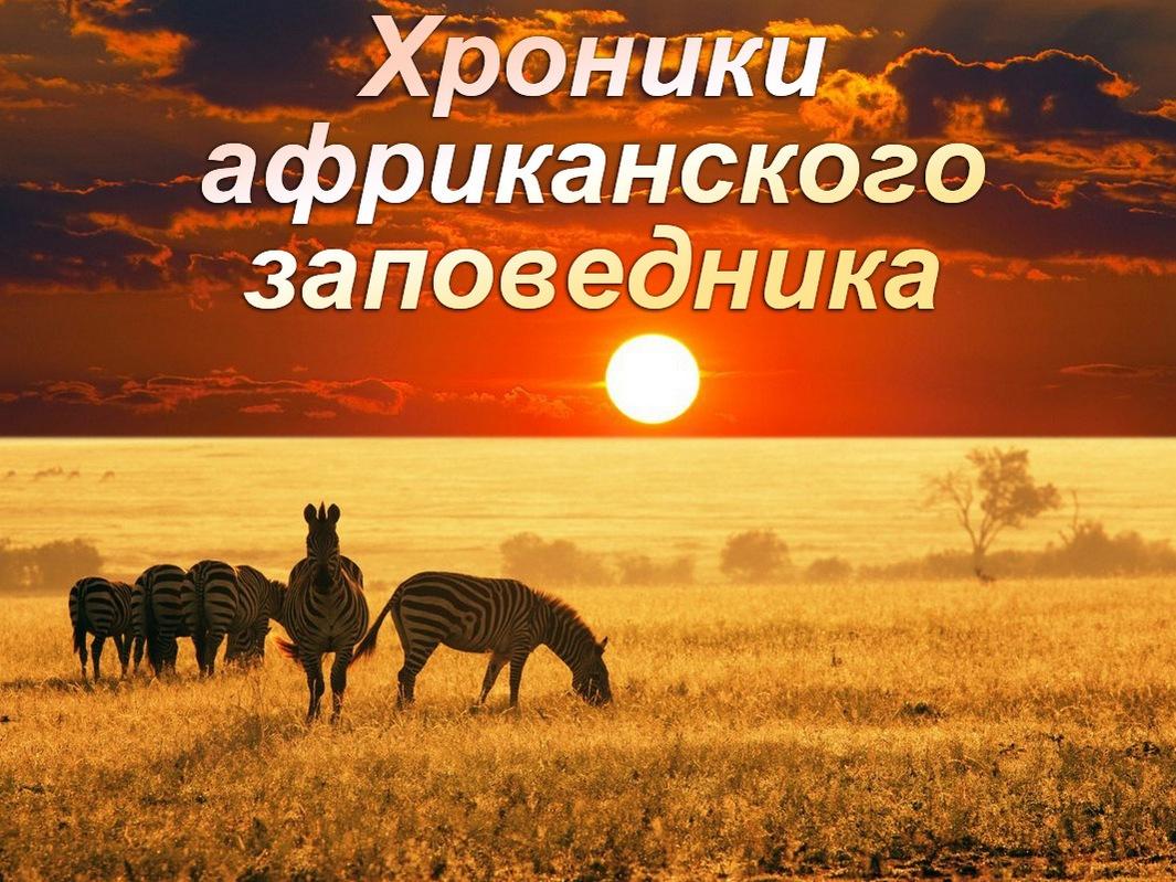 Хроники африканского заповедника (hroniki-afrikanskogo-zapovednika) Документальный сериал